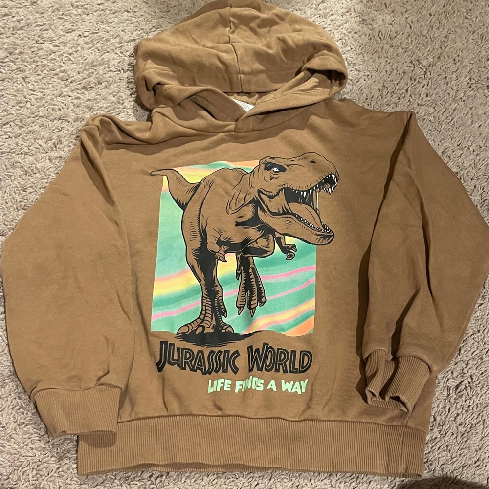 H&M Brown Jurassic World Kids Hoodie